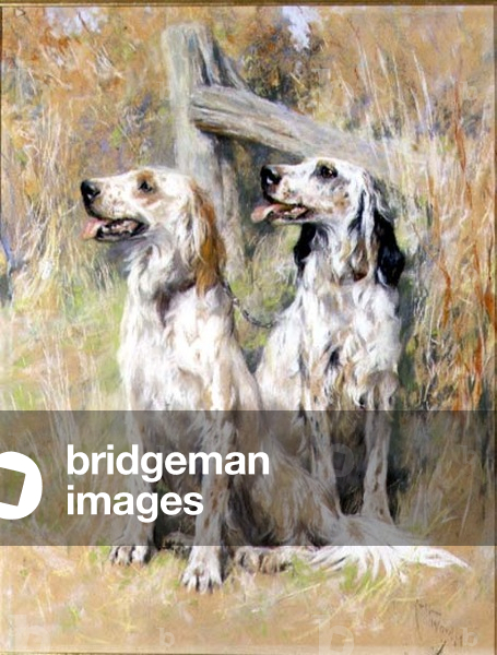 English Setters by a Stile