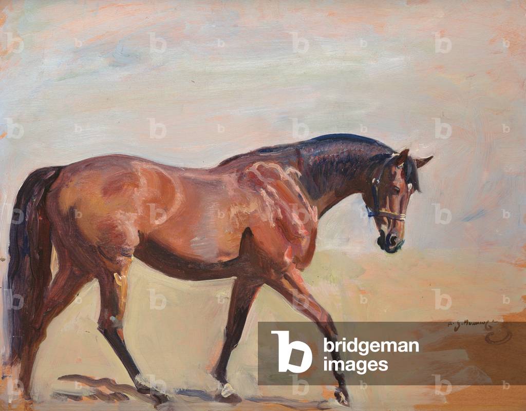Morning Light (oil on board)