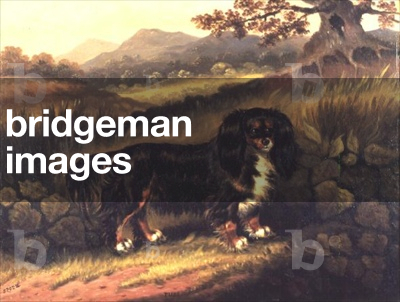 King Charles Spaniel 'Fuss' in a Landscape