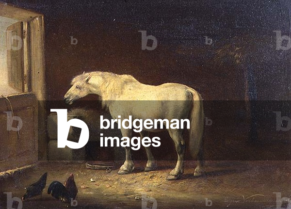 White horse in a stable (panel)
