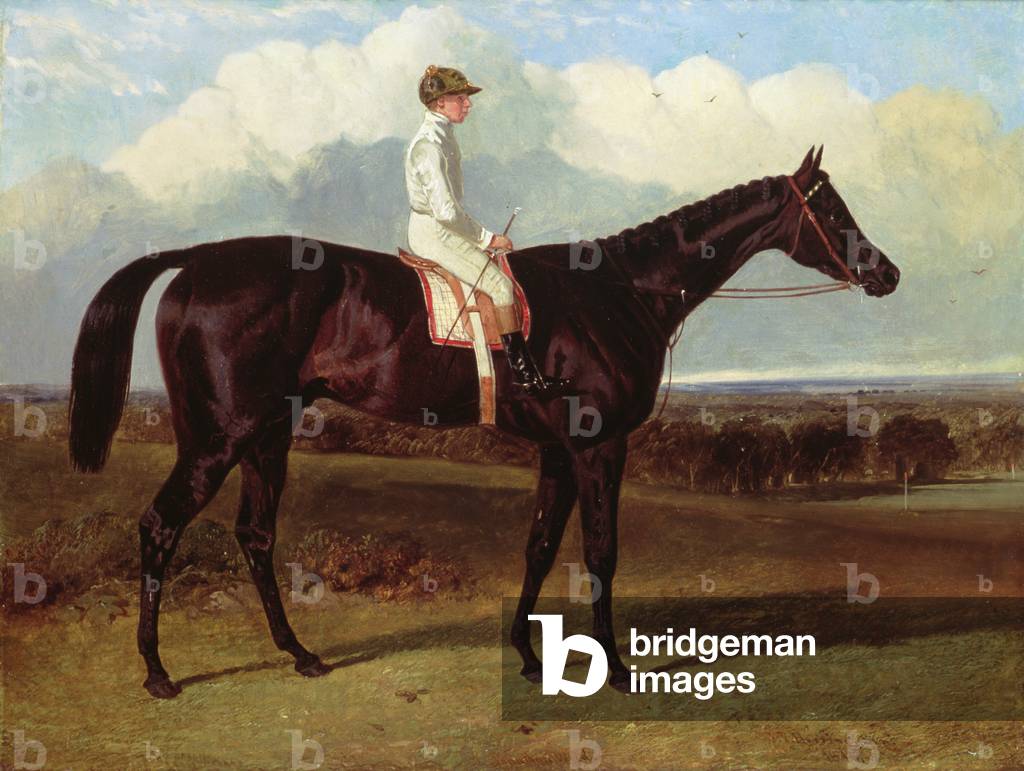 'Jonathan Wild' a Dark Bay Race Horse, at Goodwood, T.Ryder up, 1846 (oil on canvas)