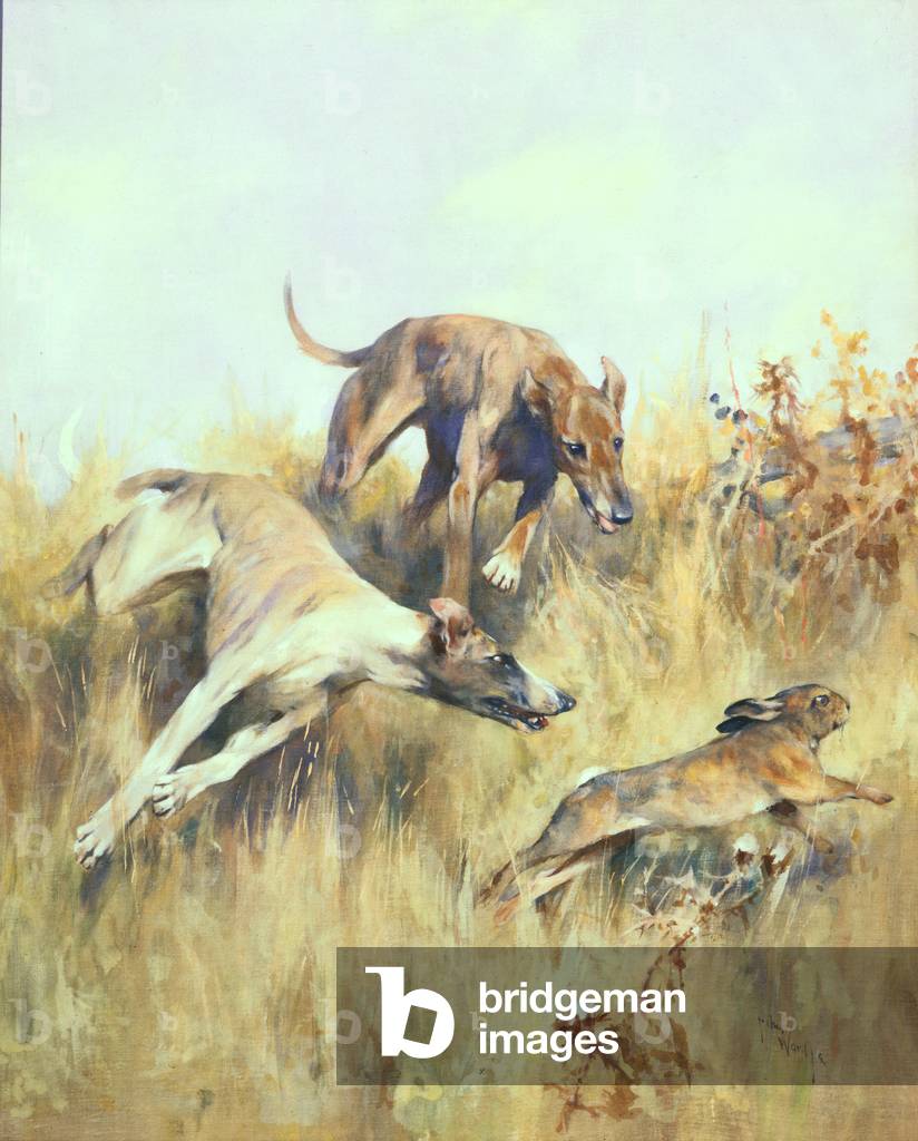 Greyhounds Giving Chase (gouache on paper)