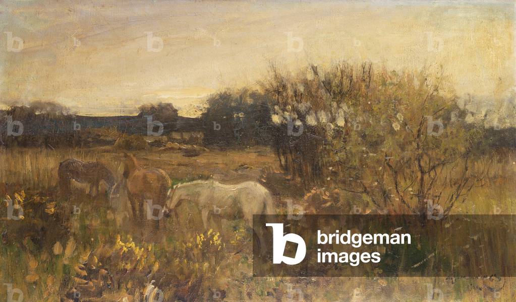 Evening on the Moor (oil on canvas)