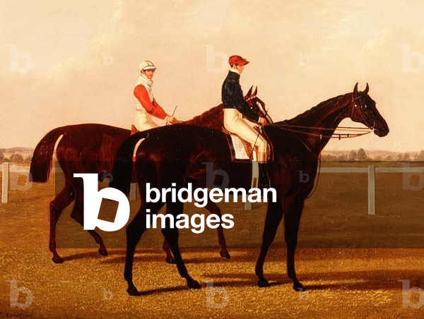 The Racehorses 