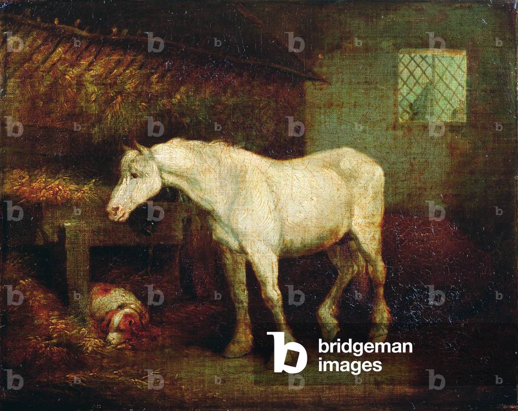 An Old Grey Mare at a Manger