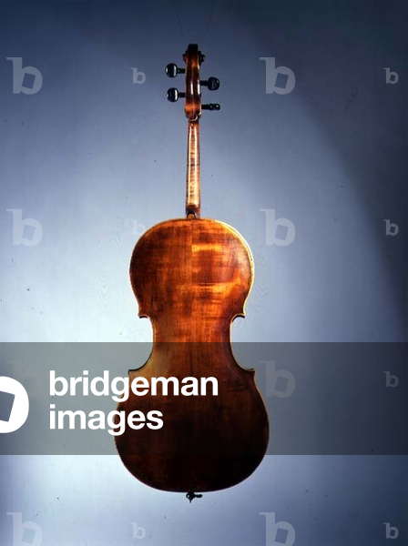 Cello, made by Matthew Goffriller, Venice (verso) (for recto see 115791)
