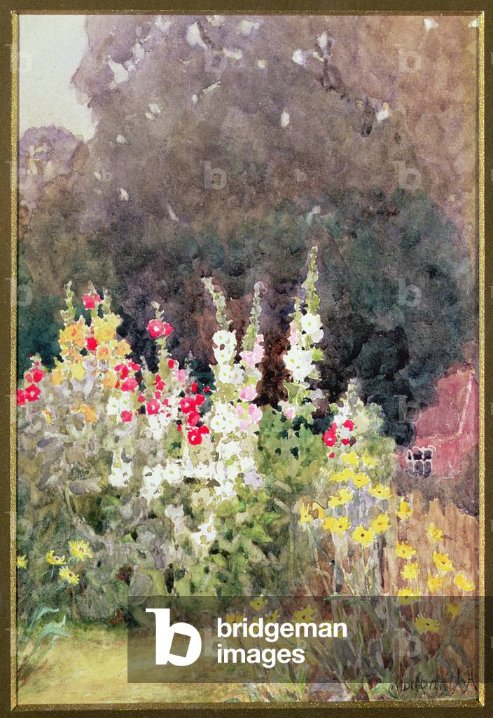 Hollyhocks, (w/c)