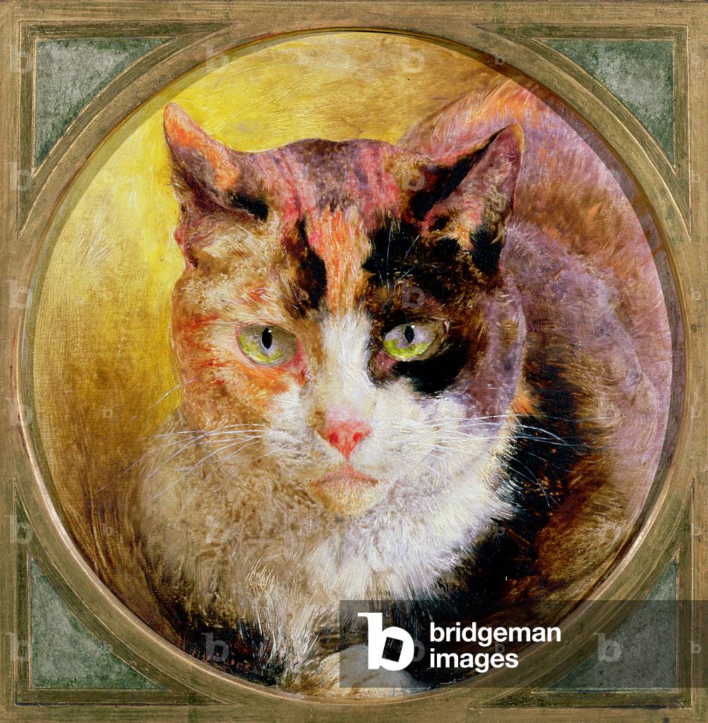 A Head Study of a Tortoiseshell Cat, 1866