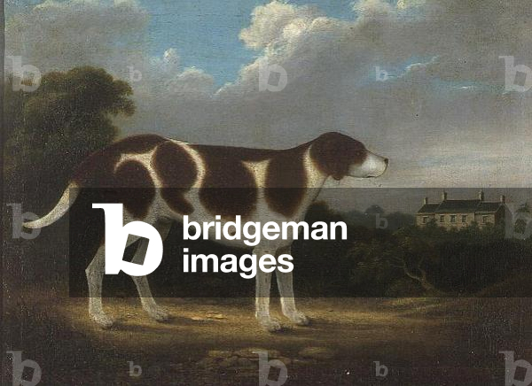 A Pointer, Primitive School