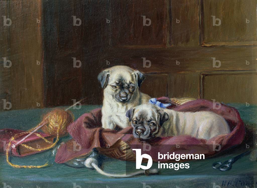 Pug Puppies in a Basket (panel)