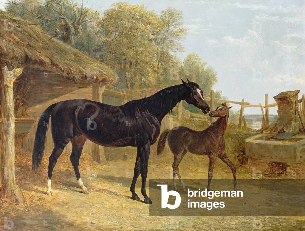 Levity, the property of J.C.Cockerill Esq., with her foal Queen Elizabeth, the property of Lord Dorchester, 1843