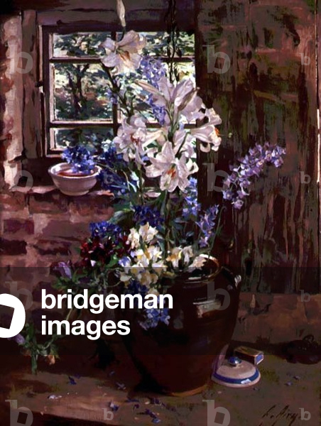 Through my Kitchen Window (oil on canvas)