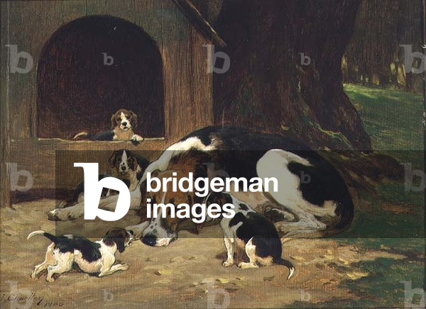 A Foxhound Bitch with her litter, 1880