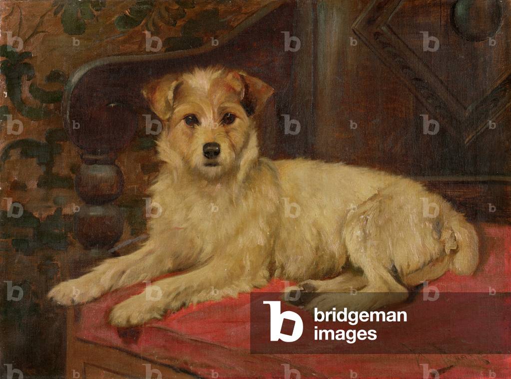 A Terrier on a Settee