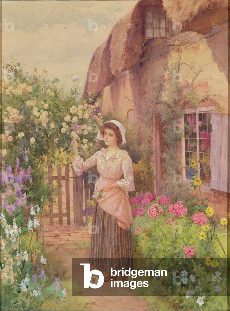 Picking Roses