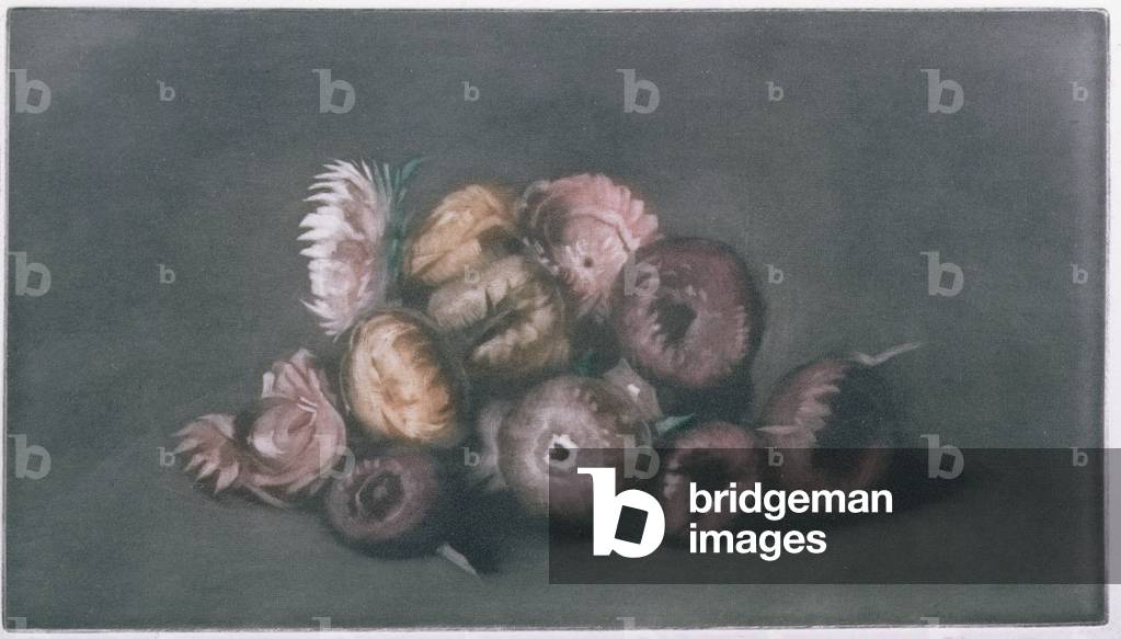Still Life of Dried Flowers (coloured mezzotint)