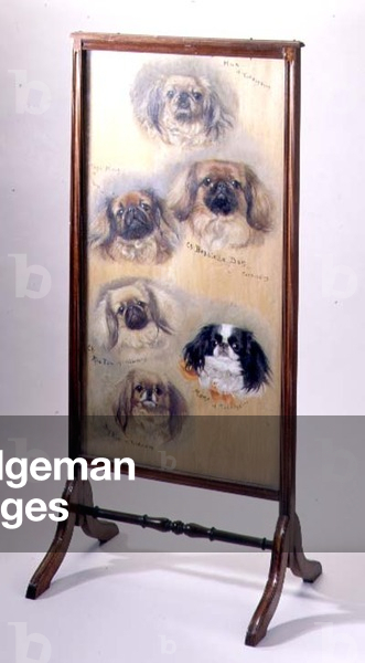 Head studies of Pekinese dogs, mounted as a fire screen