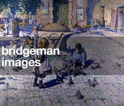 Feeding the Pigeons