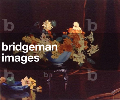 Asters, Nasturtium and other Flowers