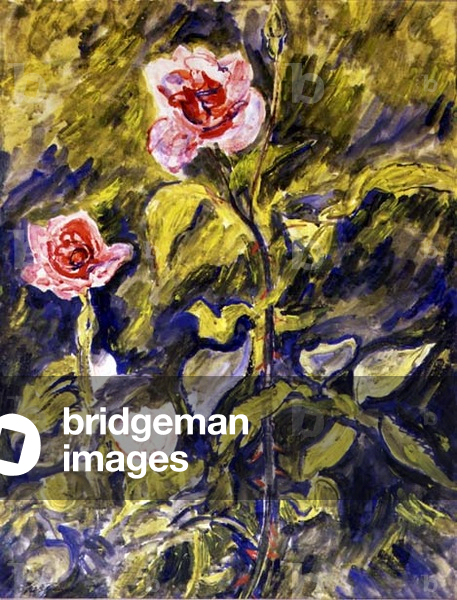 Roses