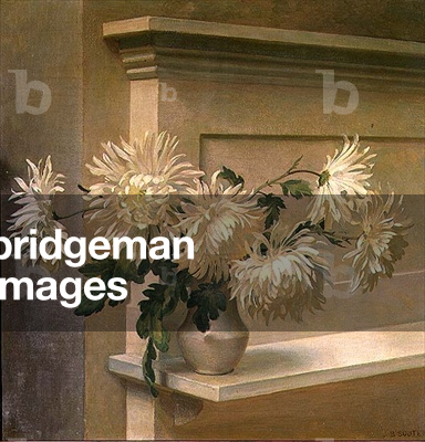 Chrysanthemums in a Vase