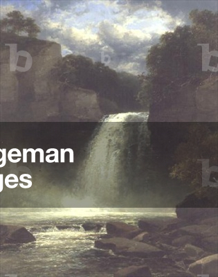 A Waterfall Scene