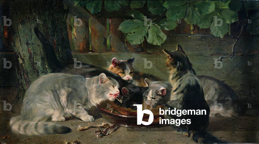 Dinner Time