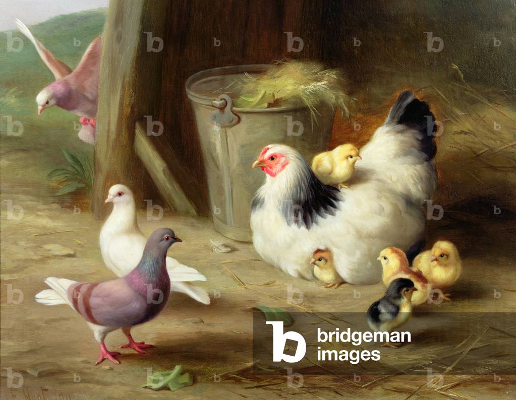 Farmyard Scene, 1911 (oil on canvas)