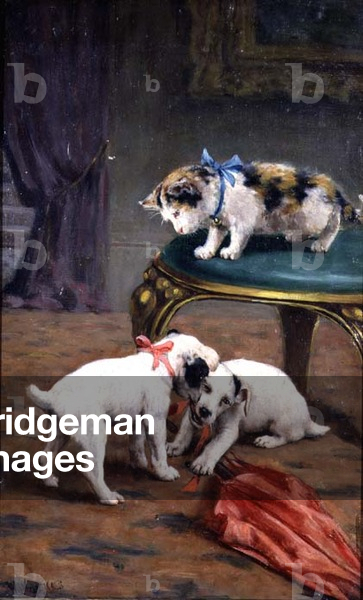 A Tug o' War