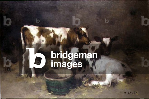 Three Calves (oil on canvas)