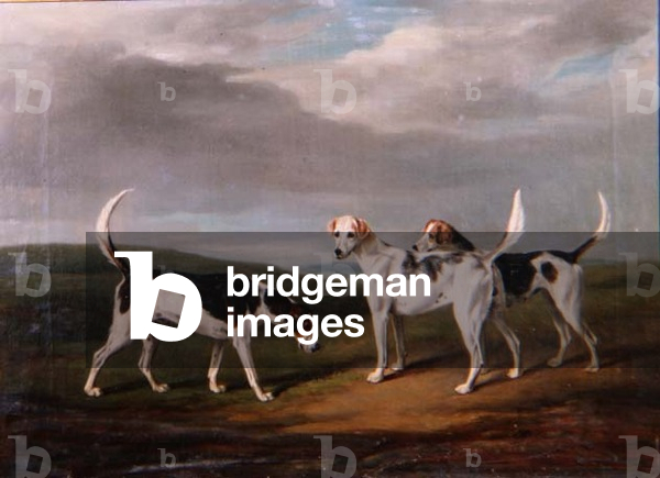 Foxhounds in a Landscape, 1818