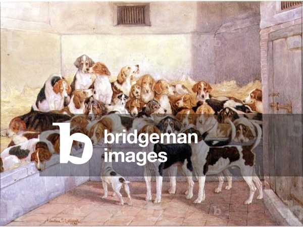 A Stranger in their Midst, 1893