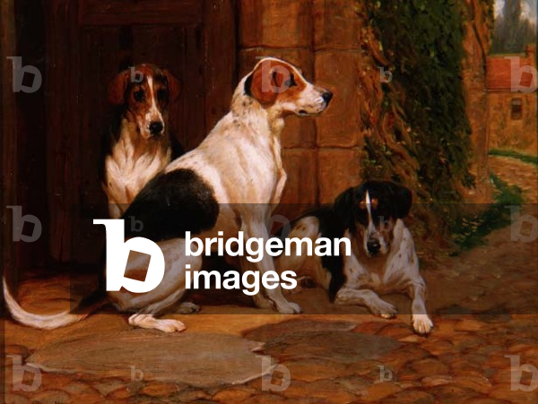 Foxhounds, 1902