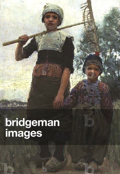 Little Haymakers, North Holland