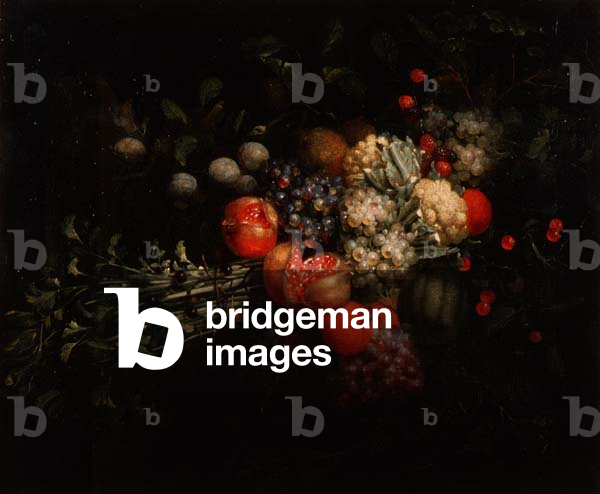 Still Life with Fruits