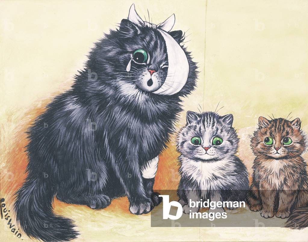 Cat-astrophe!