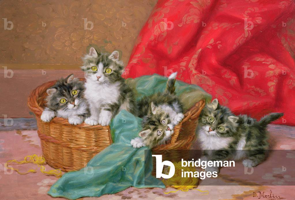 Mischievous Kittens