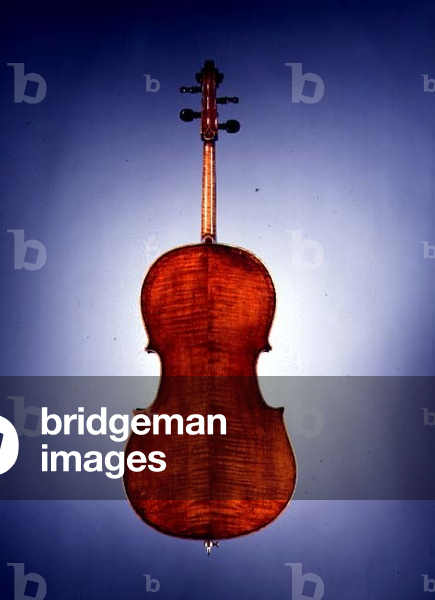 Cello, ascribed to Joannes Baptiste Zanoli, Verona, 1730 (verso) (for recto see 115793)