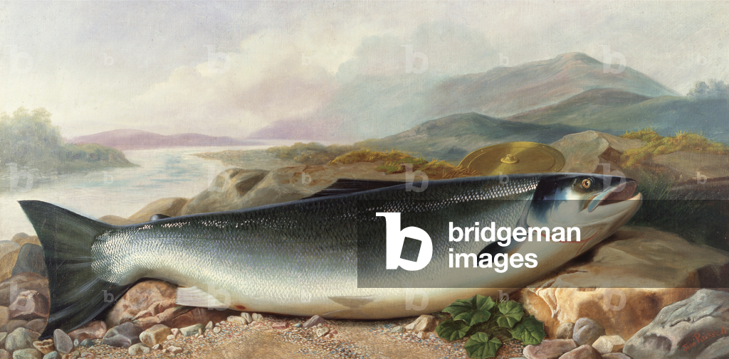 Still Life of a Salmon on a Riverbank in a Mountainous Landscape