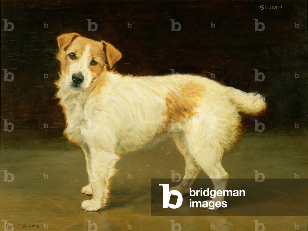 A Portrait of Skimp