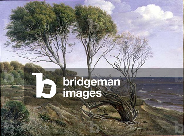 A Coastal Landscape