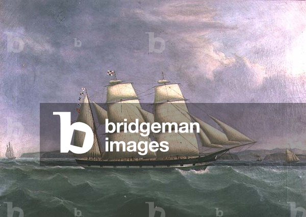 The Barque `Norfolk' off Cork