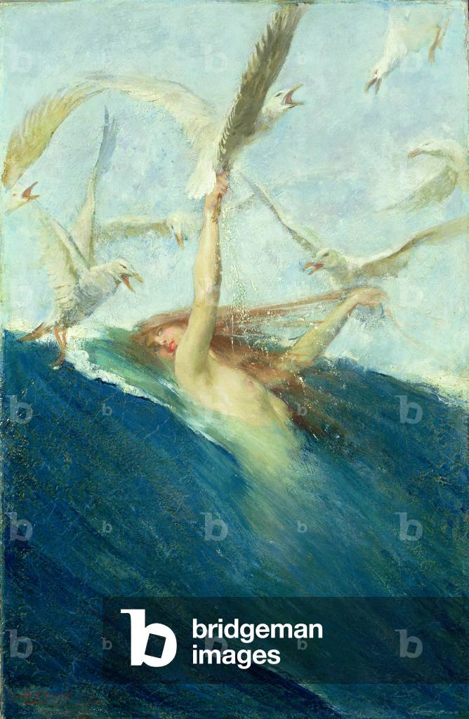 A Mermaid Being Mobbed by Seagulls, 19th century (oil on canvas)