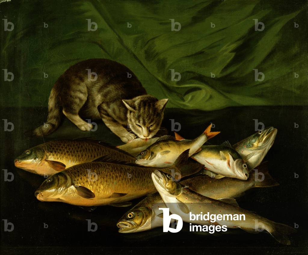 A Cat with Trout, Perch and Carp on a Ledge