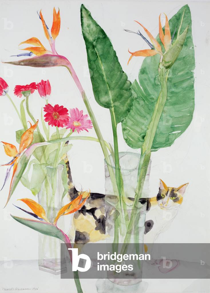 Tortoiseshell Cat and Flowers, 1984 (w/c on paper)
