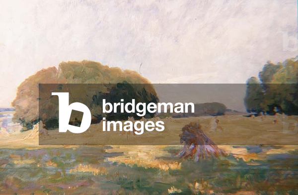 Haystacks in a Field
