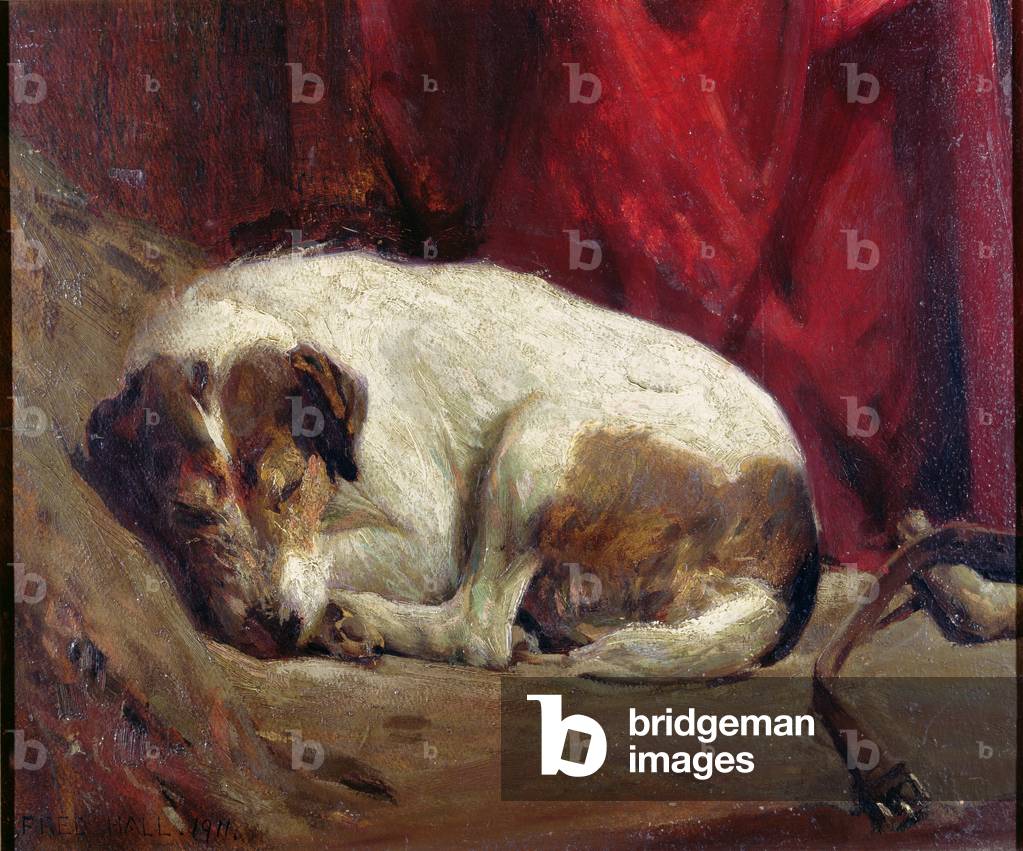 A Sleeping Fox Terrier, 1911 (board)