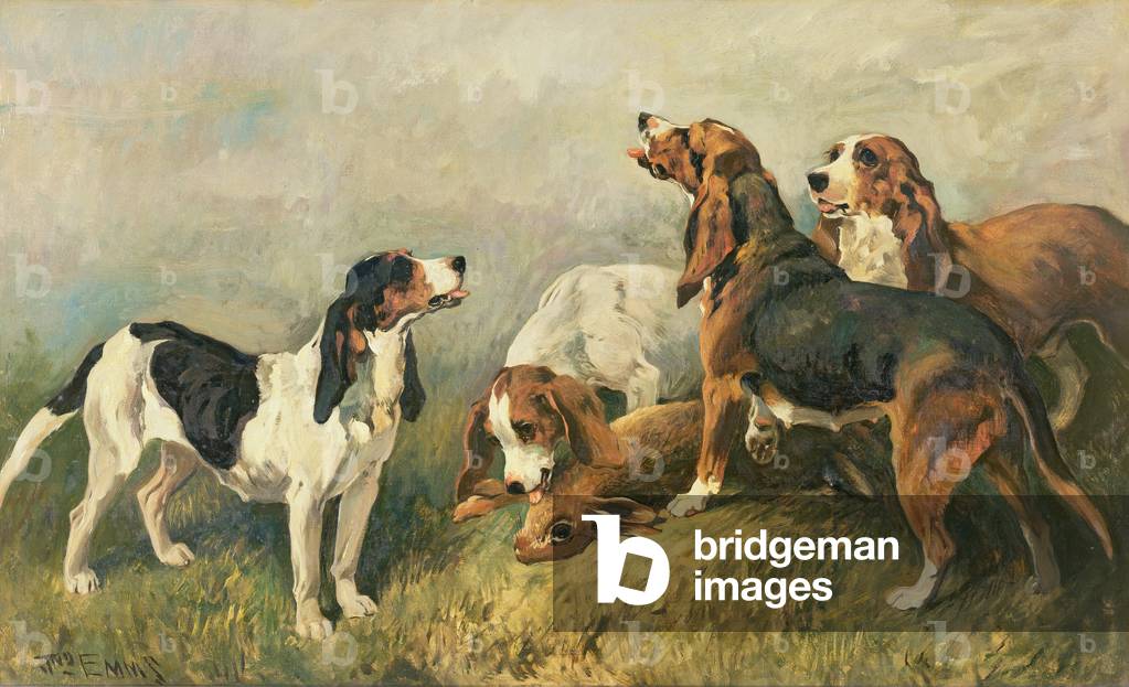 Hounds with a Hare