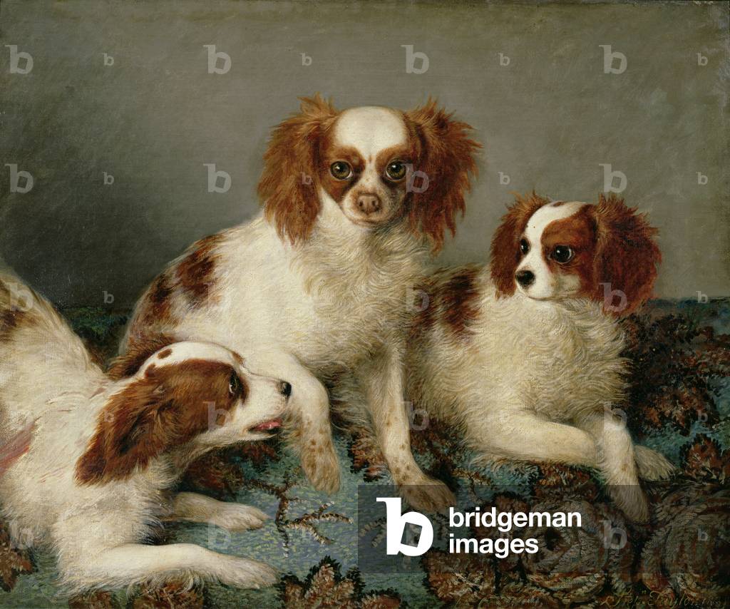 Three Cavalier King Charles Spaniels on a Rug (oil on canvas)