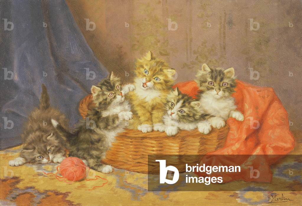 In the Basket